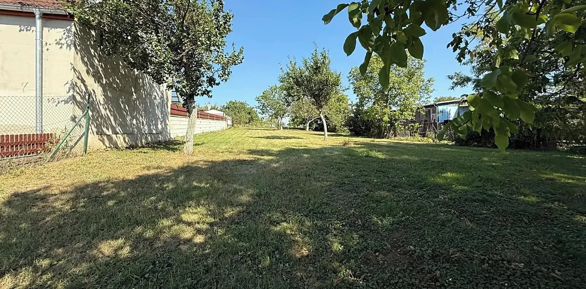 Fotka 5 z 5